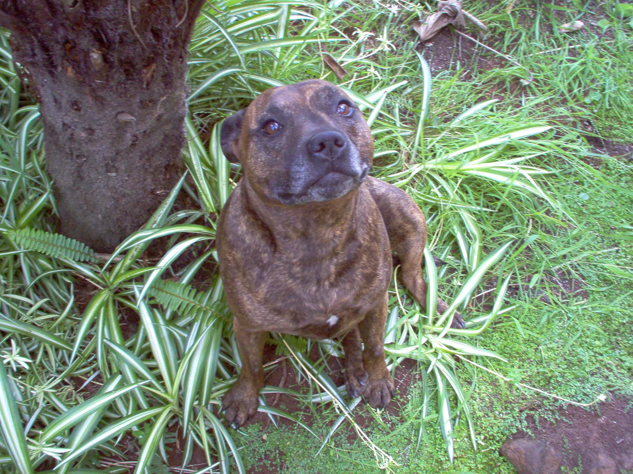 No Appointments Necessary