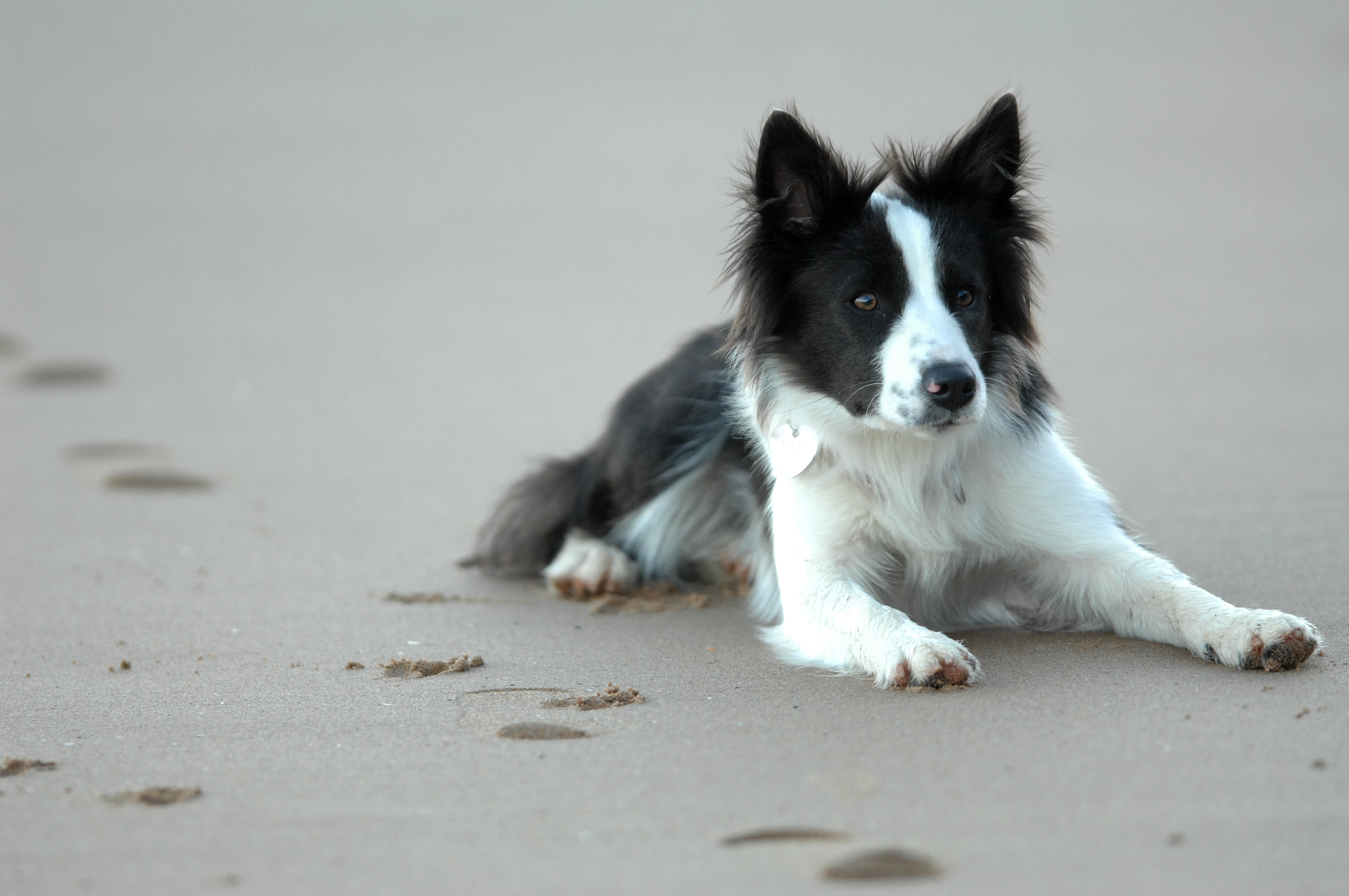 No Appointments Necessary