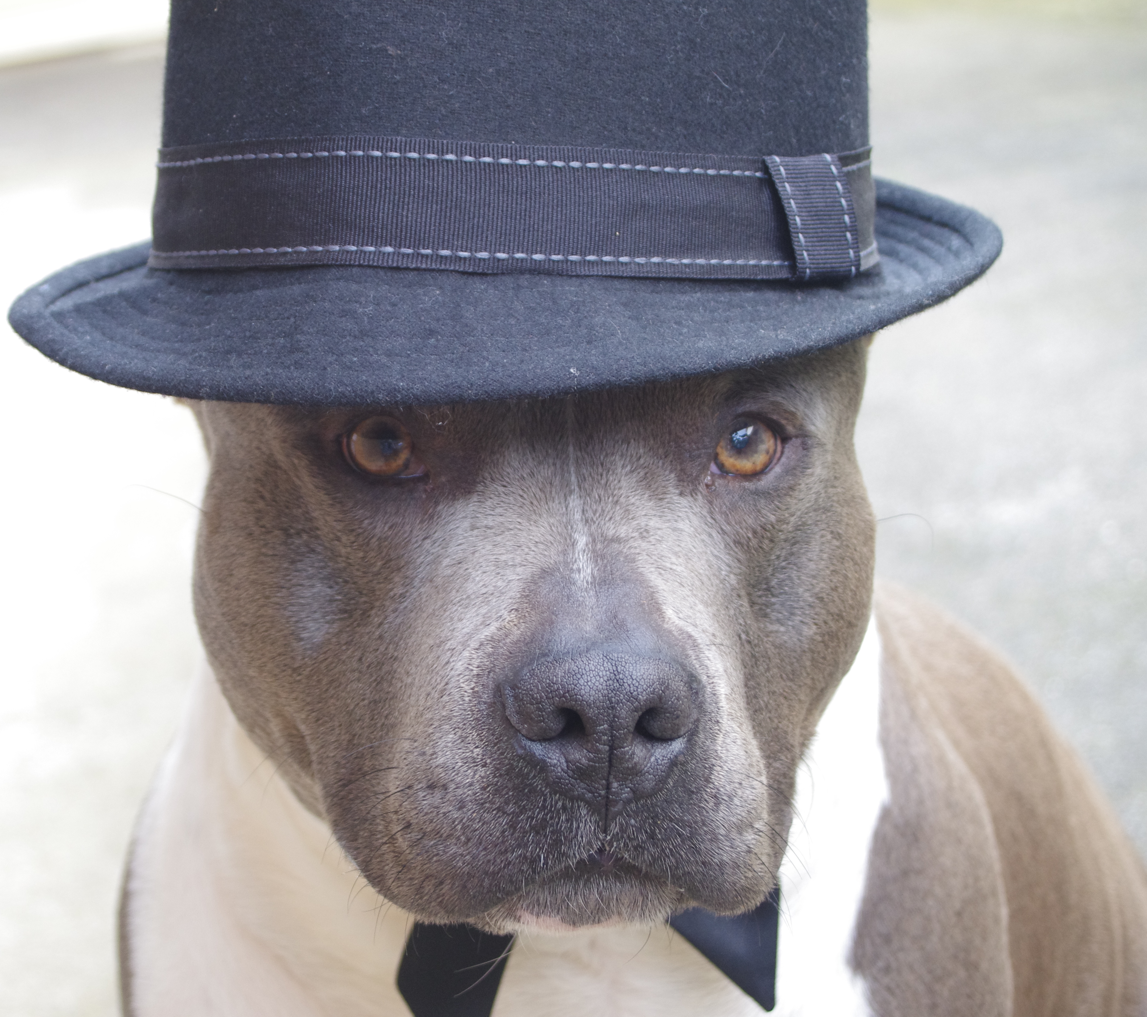 No Appointments Necessary