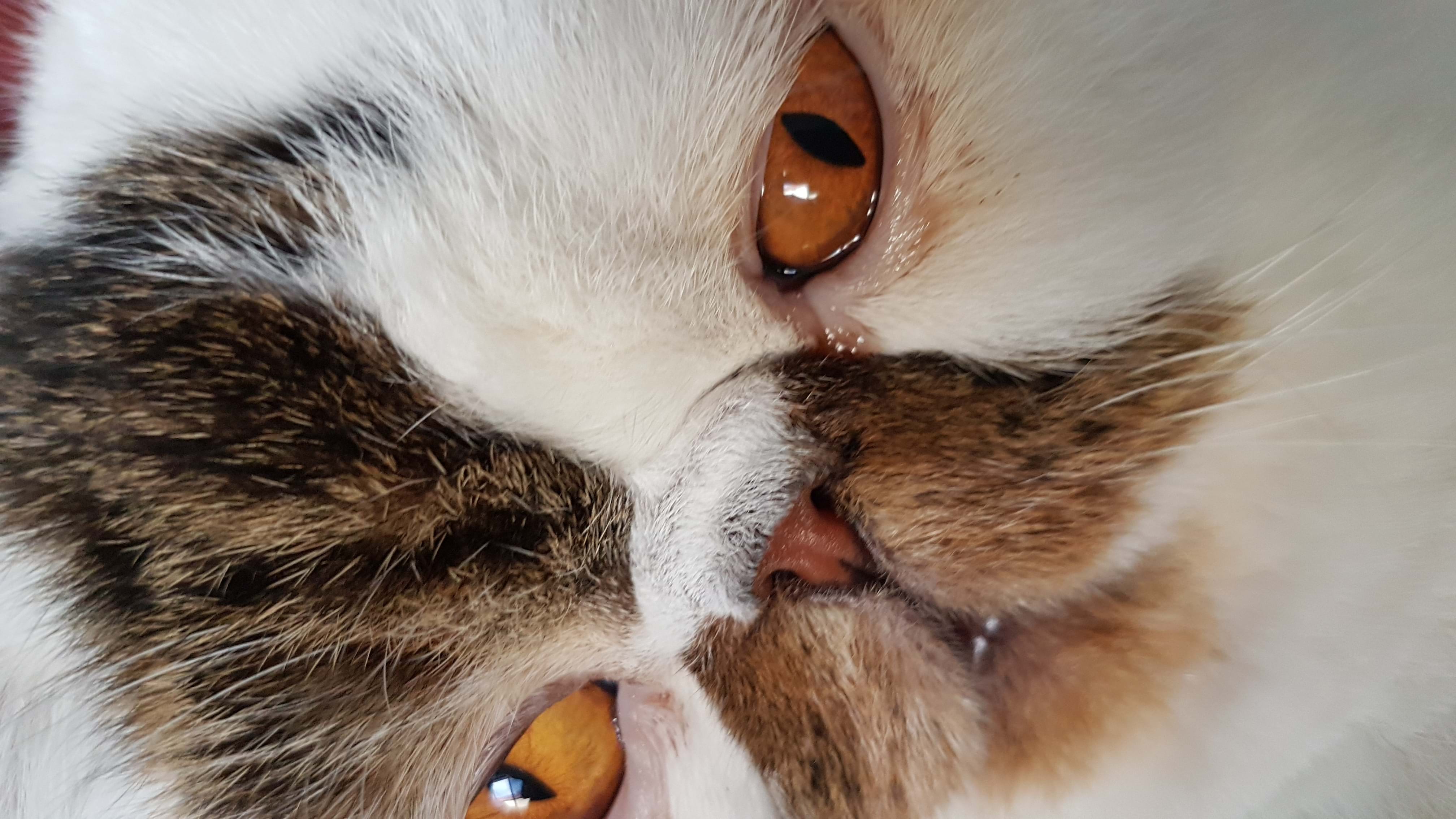 No Appointments Necessary