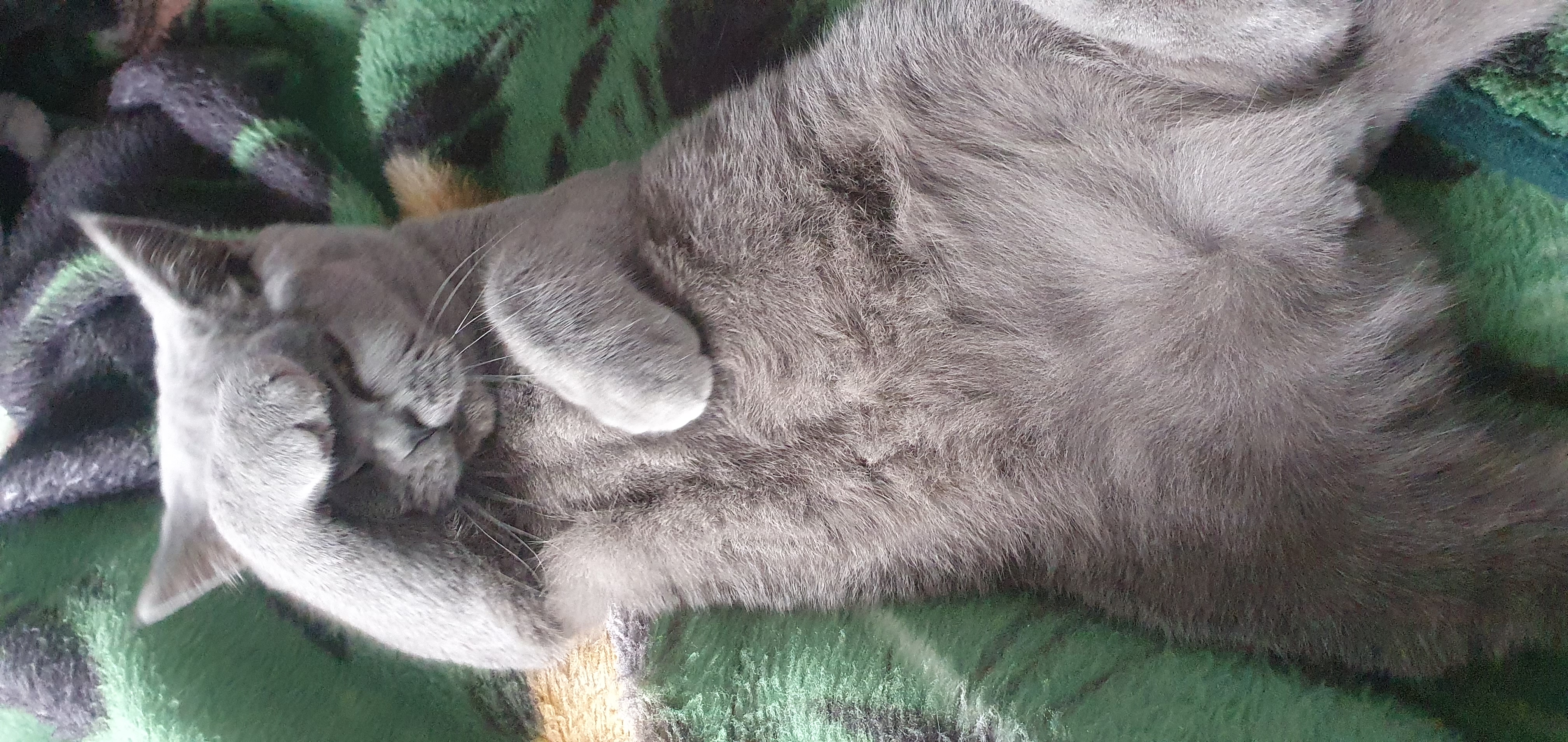 No Appointments Necessary