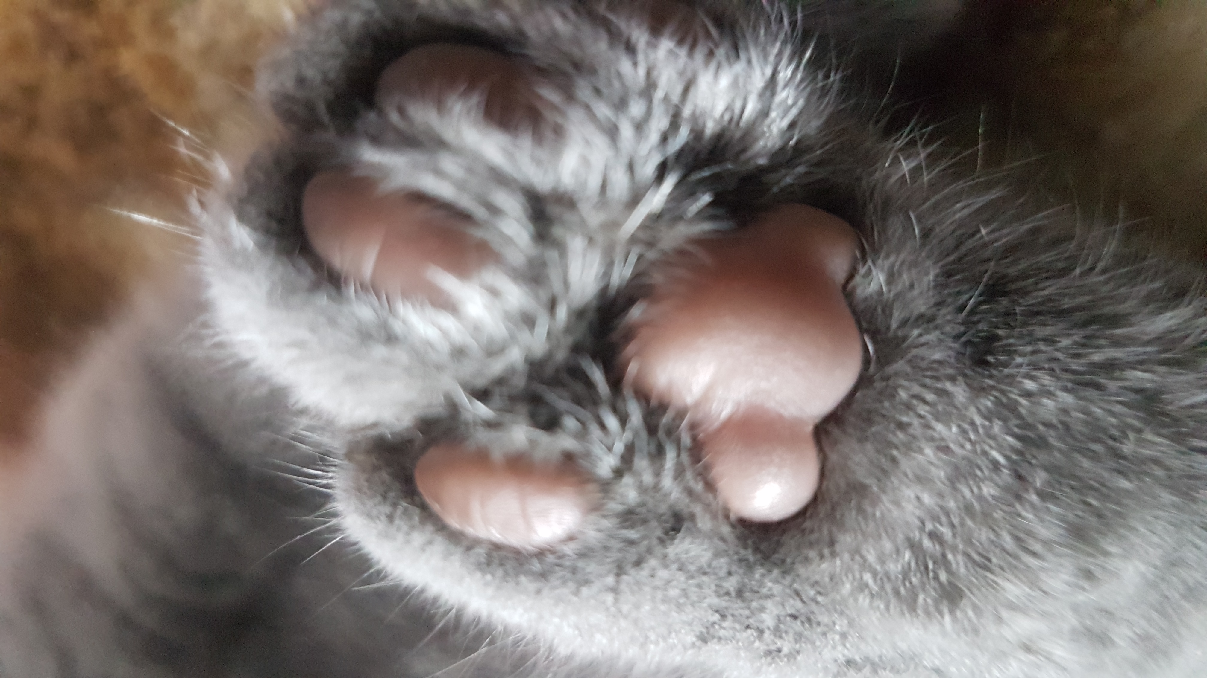 No Appointments Necessary